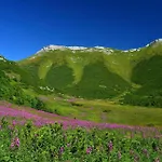 Проживание в семье Belianka
