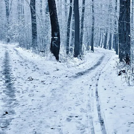 Belianka בית אירוח