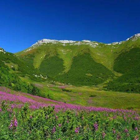 Séjour chez l'habitant Belianka