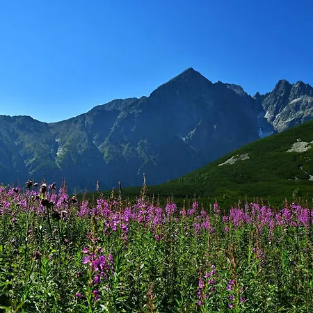 Séjour chez l'habitant Belianka *