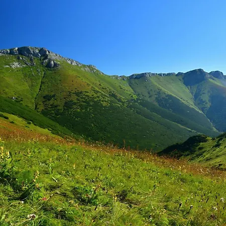 Δωμάτια σε οικογενειακή κατοικία Belianka