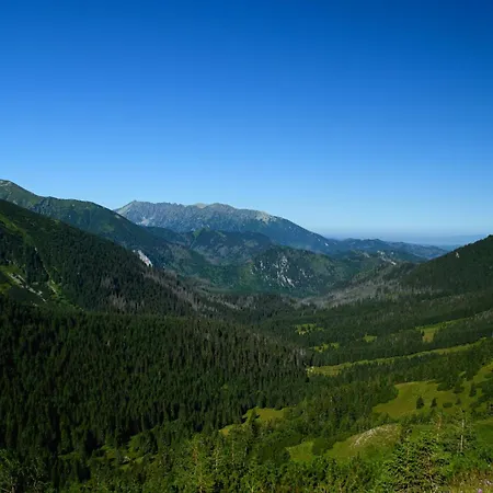 Belianka