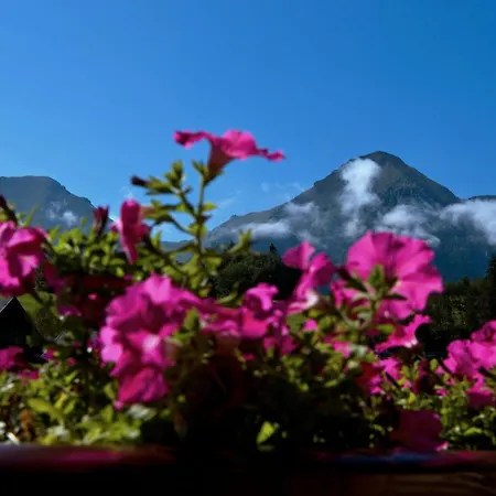 Kwatera prywatna Belianka *